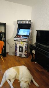 IMG-20231031-WA0004